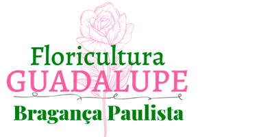 Floricultura Guadalupe BP