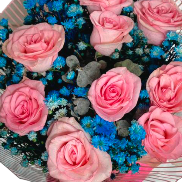Buqu� Azul e Rosa